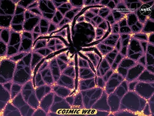 NASA Poster Kosmisches Netzt als Spinnennetz